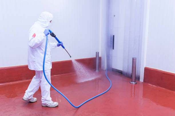 Best Spring Cleaning  in Lake Hamilton, FL